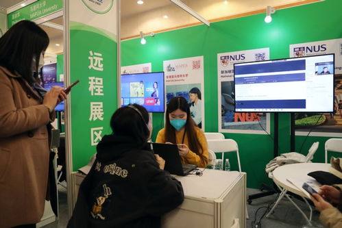 中國國際教育展在京舉行，跆拳道技術咨詢成亮點